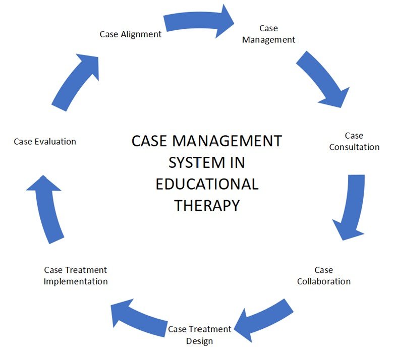 Case Management System in Educational Therapy